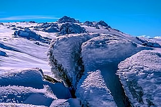 Senior-Citizen(591).jpg