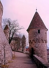 Senior-Citizen(99).jpg